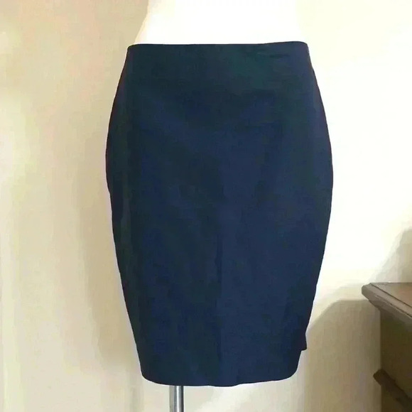 Ann Taylor Navy Blue Skirt - Picture 2 of 6
